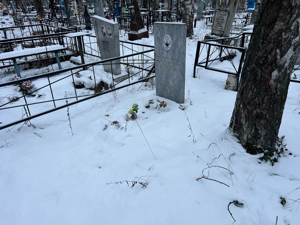 Просыпкин Владимир Александрович