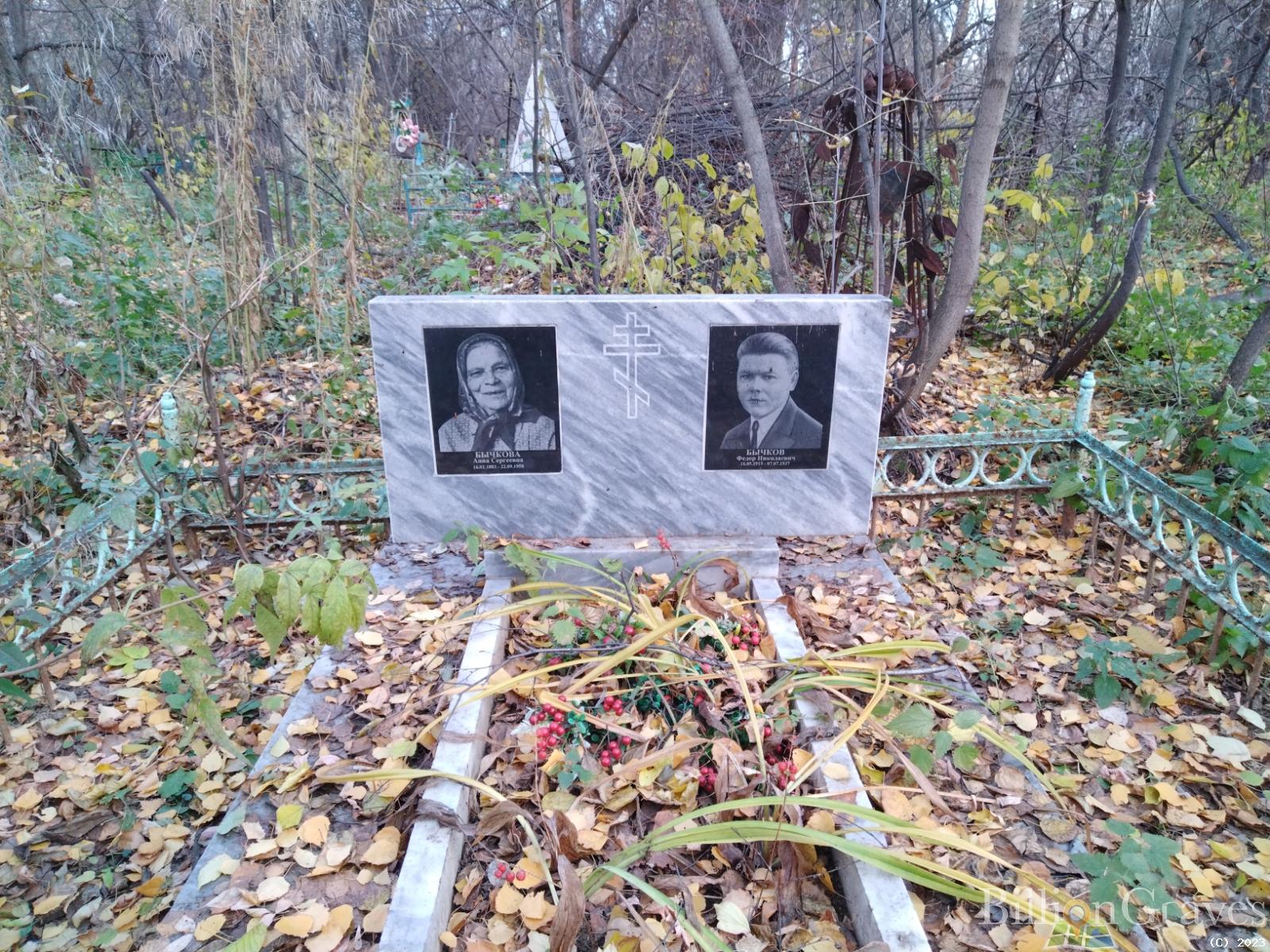Бычкова Анна Сергеевна
