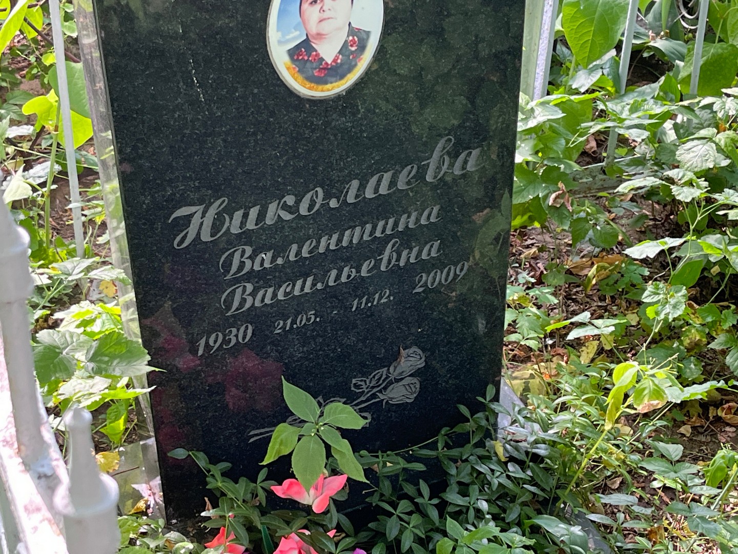 Николаева