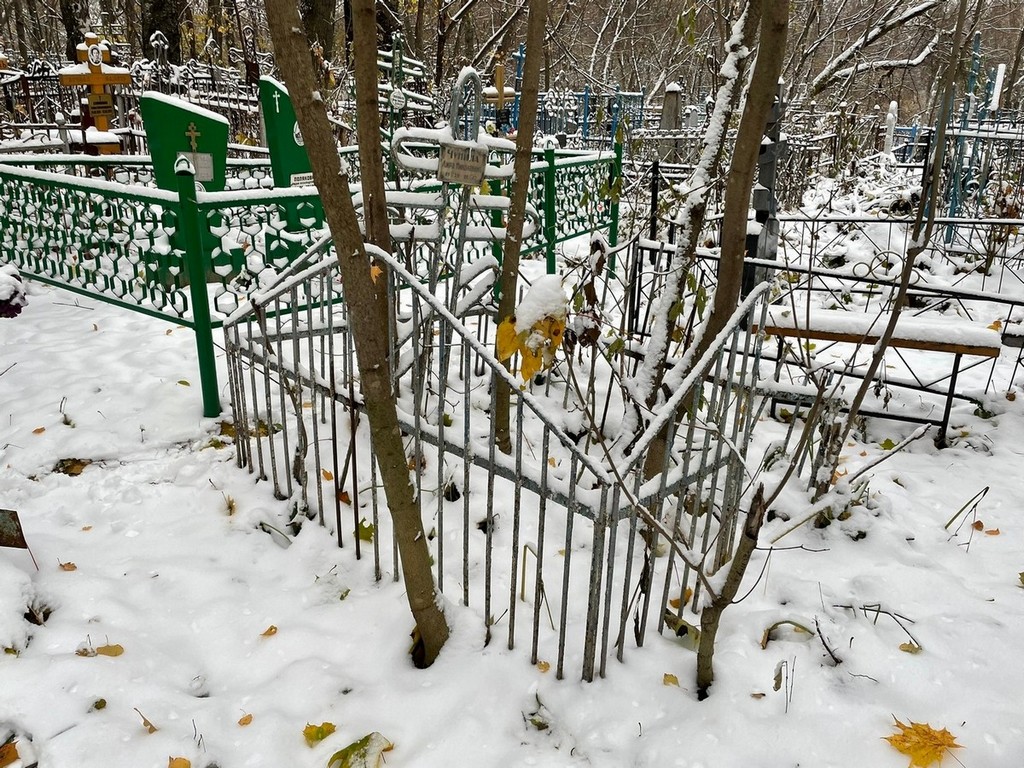 Чунина Лира Николаевна