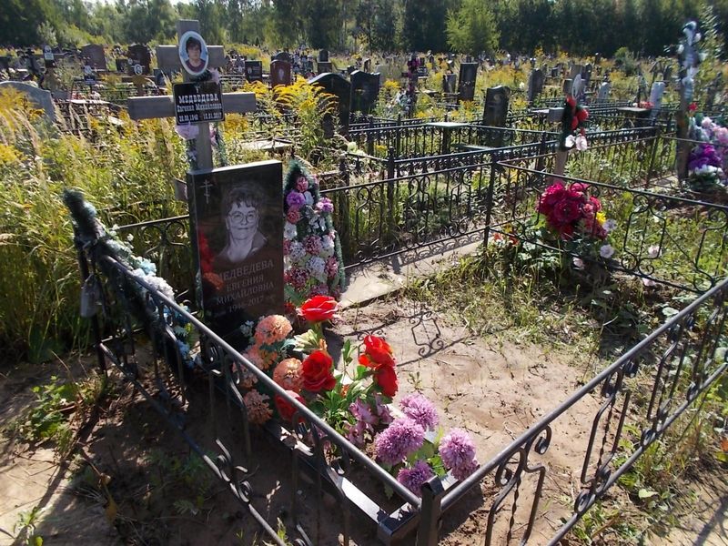Медведева Евгения Михайловна
