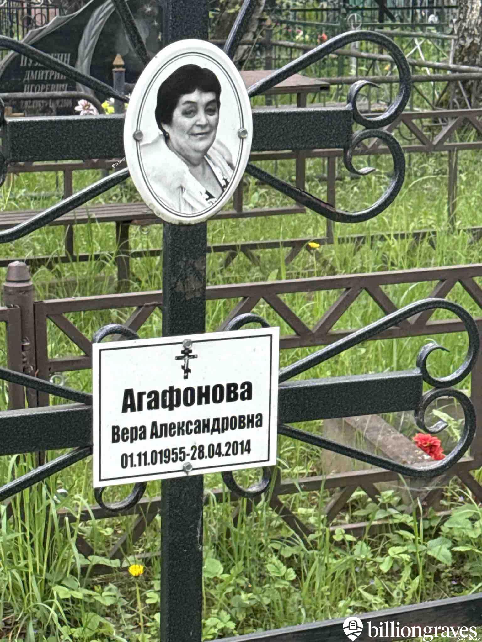 Агафонова Вера Александровна