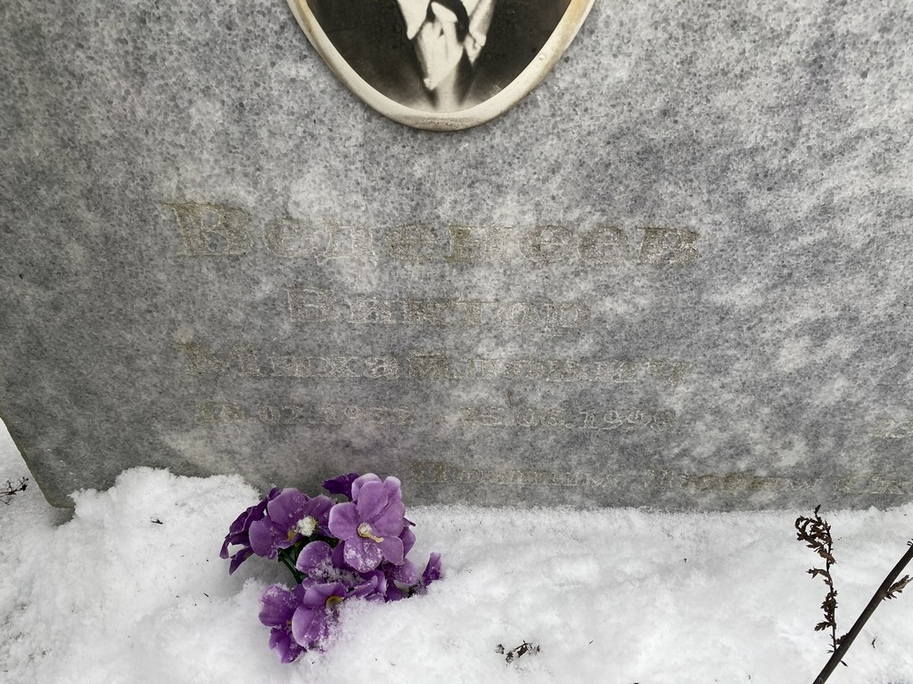Веденеев Виктор Михайлович