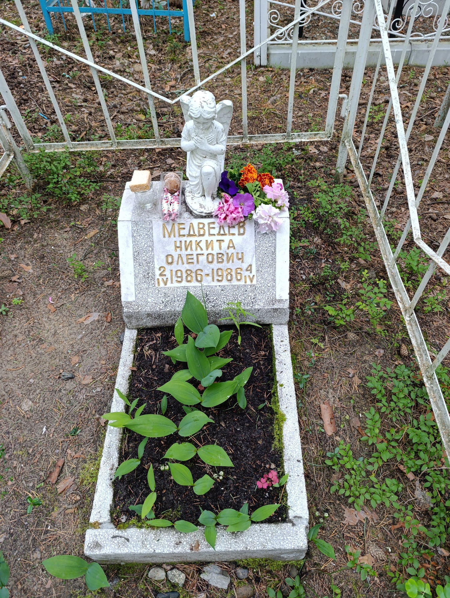 Медведев Никита Олегович