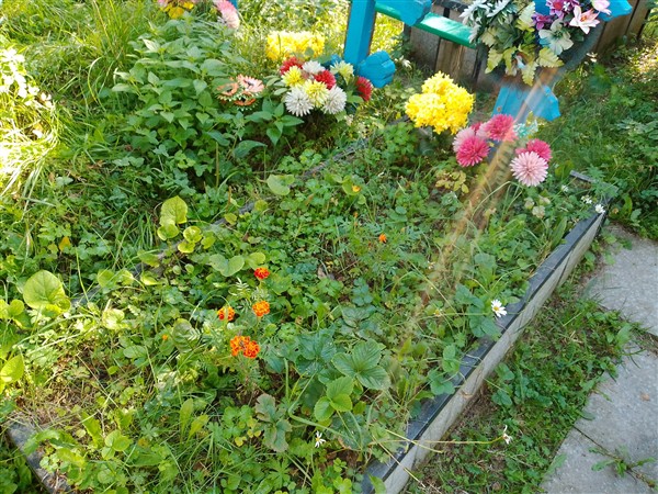 Захарова Акулина Степановна