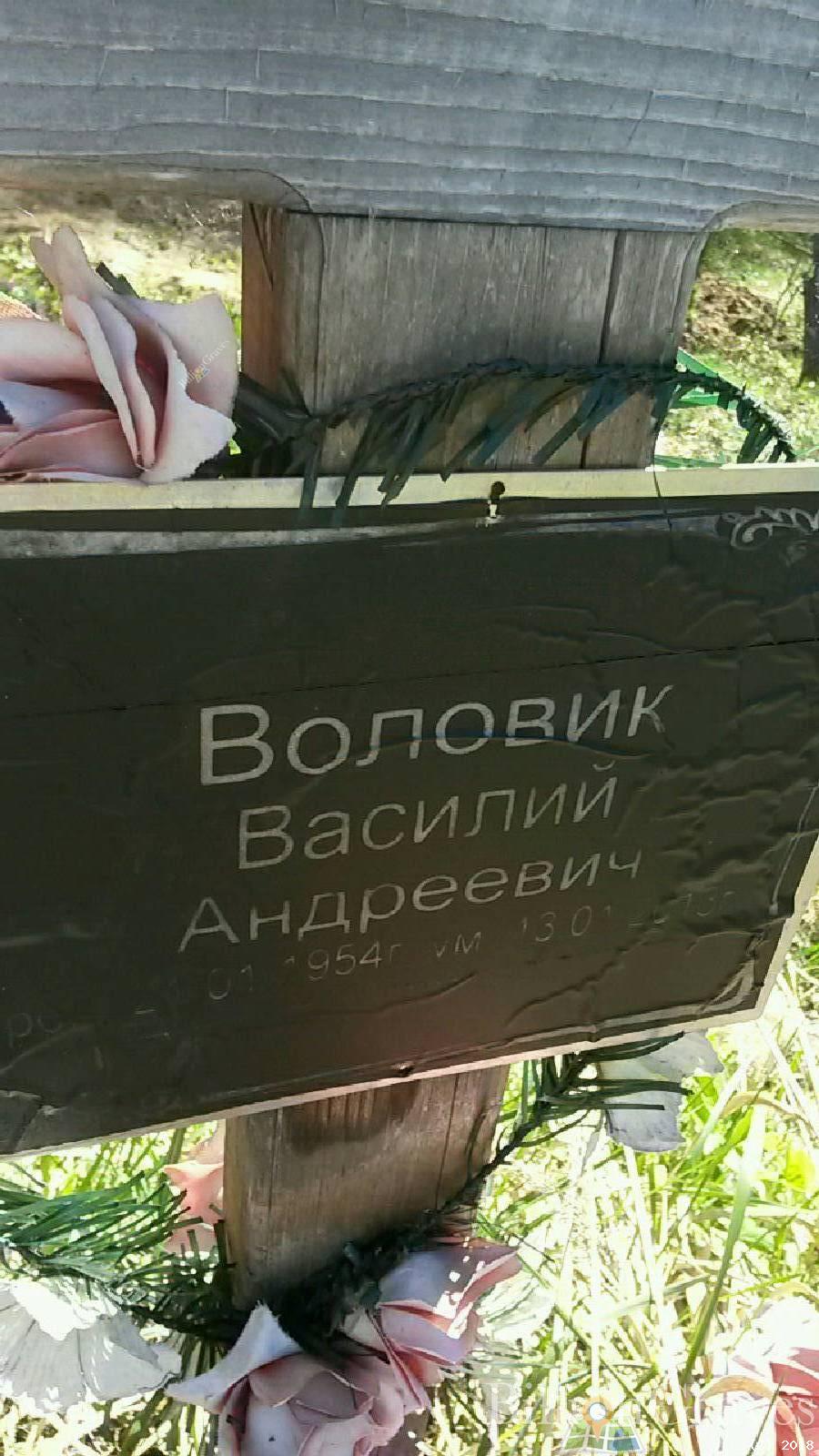 Воловик Василий Андреевич