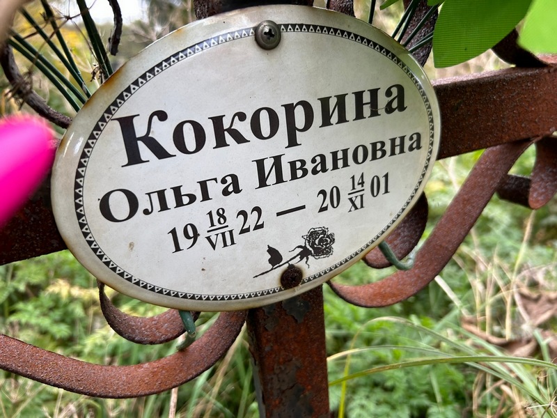 Кокорина