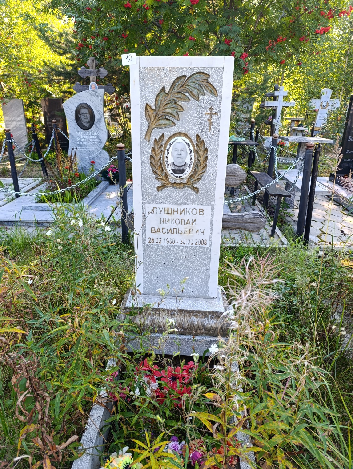 Лушников Николай Васильевич