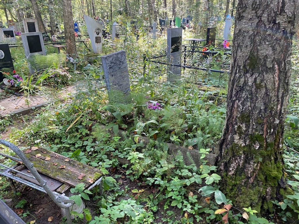 Толоконцева Анна Александровна