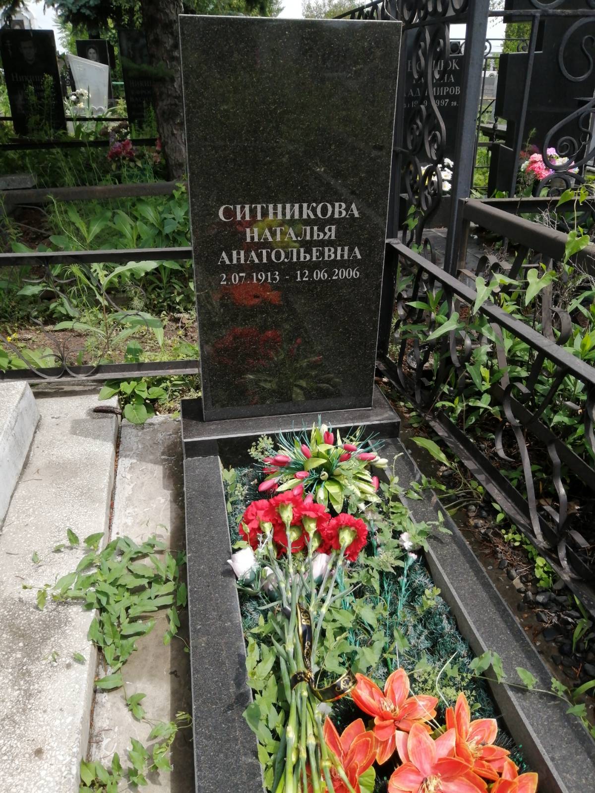 Ситникова Наталья Анатольевна