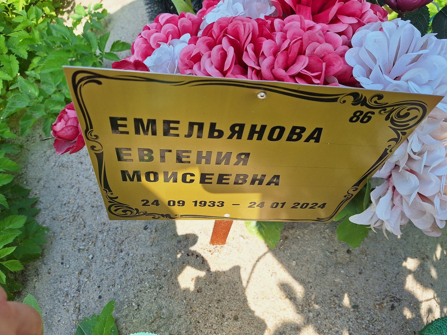 Емельянова Евгения Моисеевна