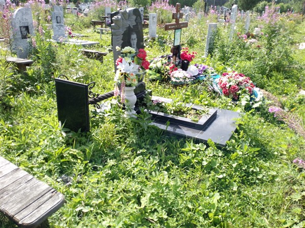 Плотников Данил Николаевич