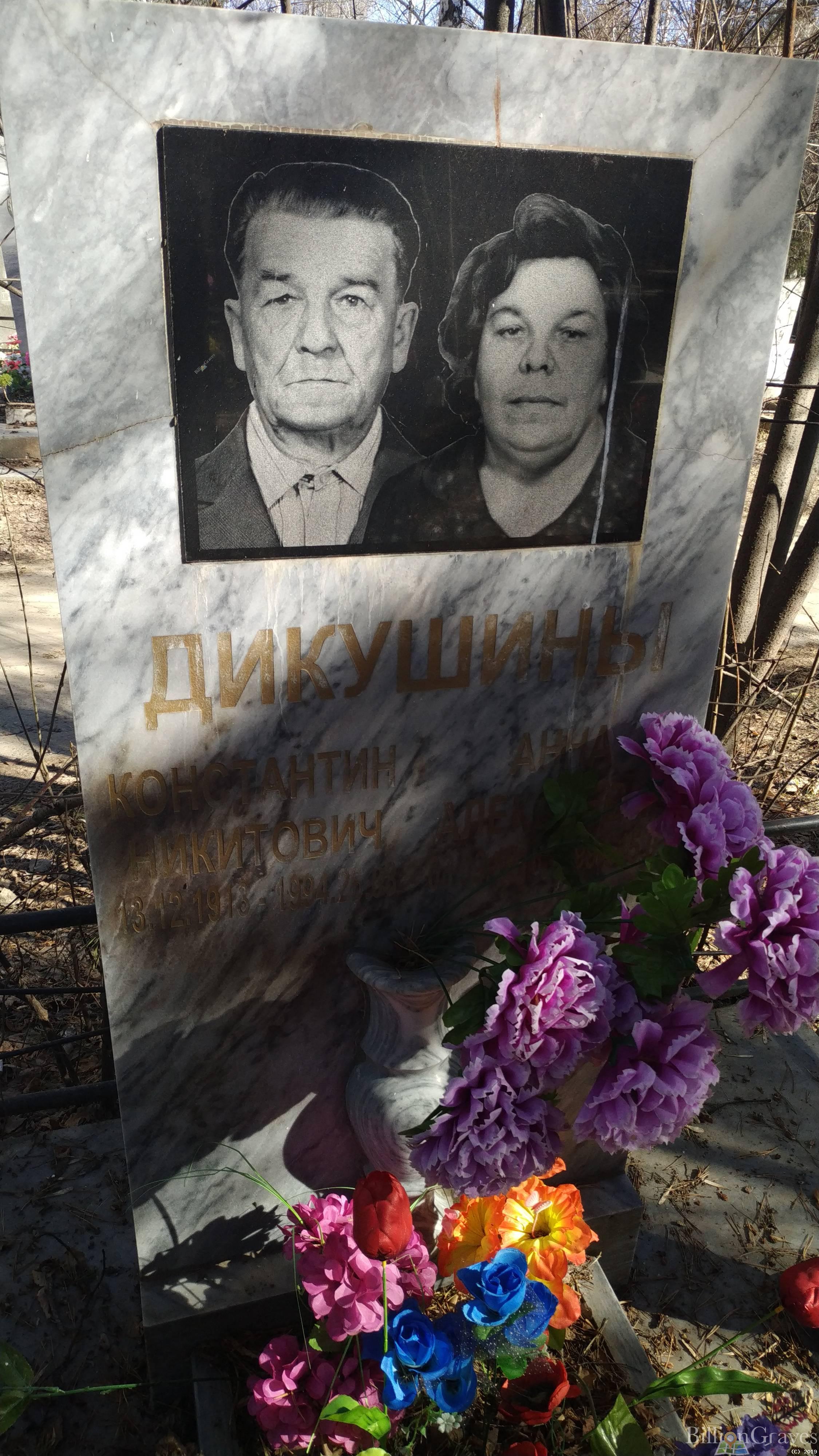 Дикушина Анна Алексеевна