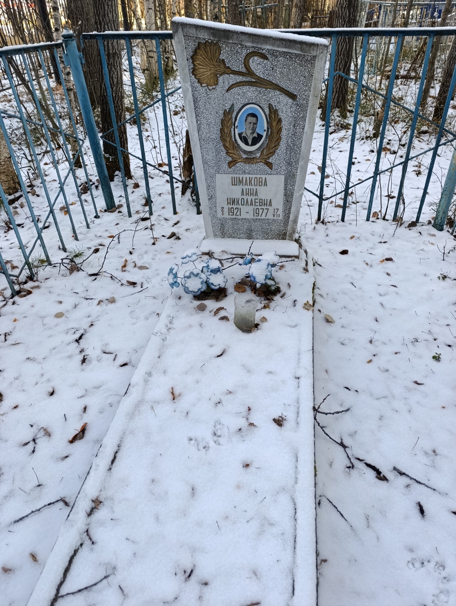 Шмакова Анна Николаевна