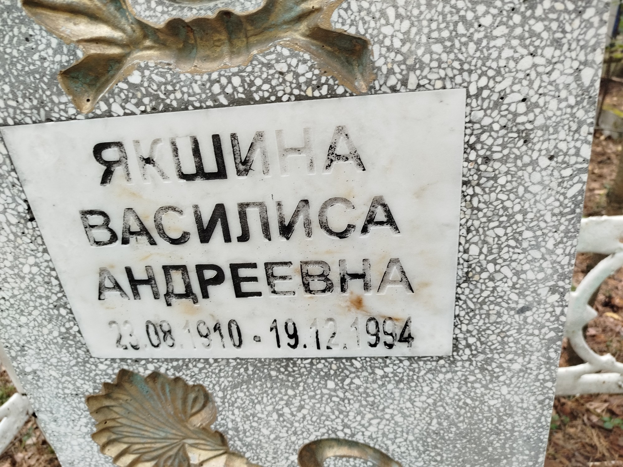 Якшина Василиса Андреевна