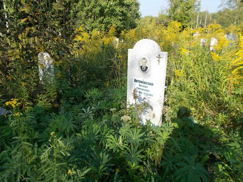 Антоновский Виталий Григорьевич