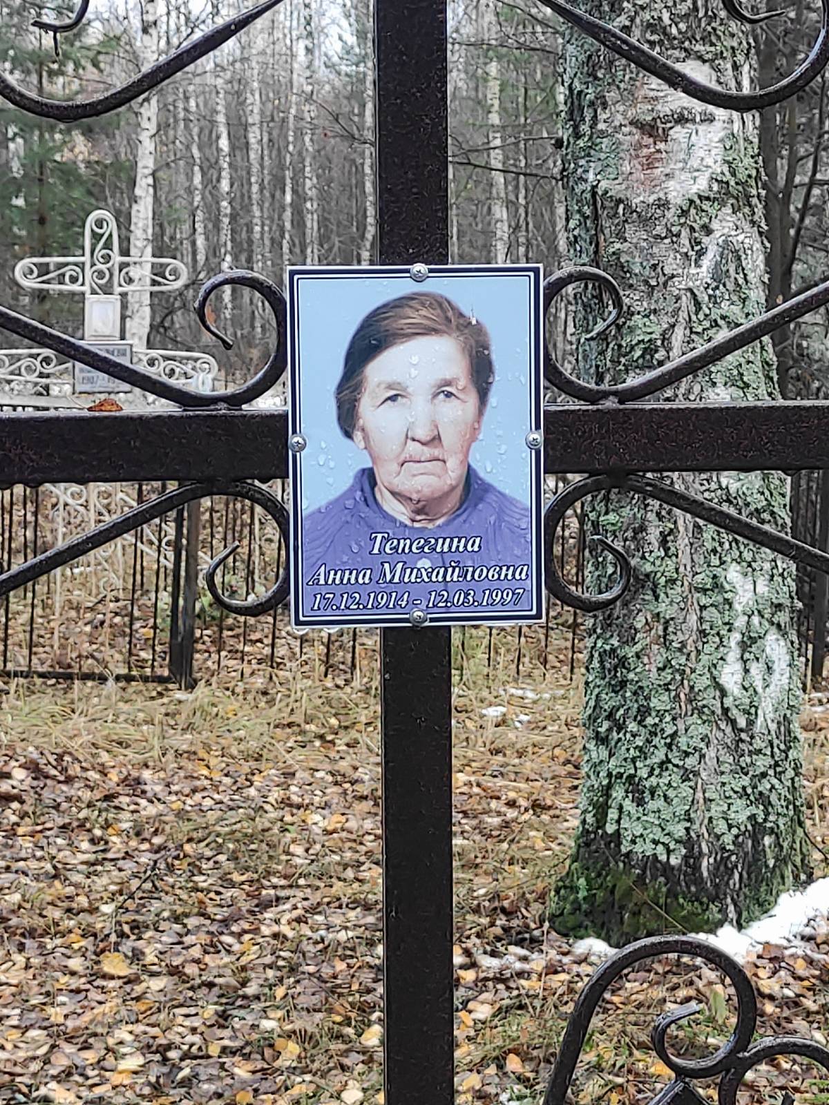 Тепегина Анна Михайловна