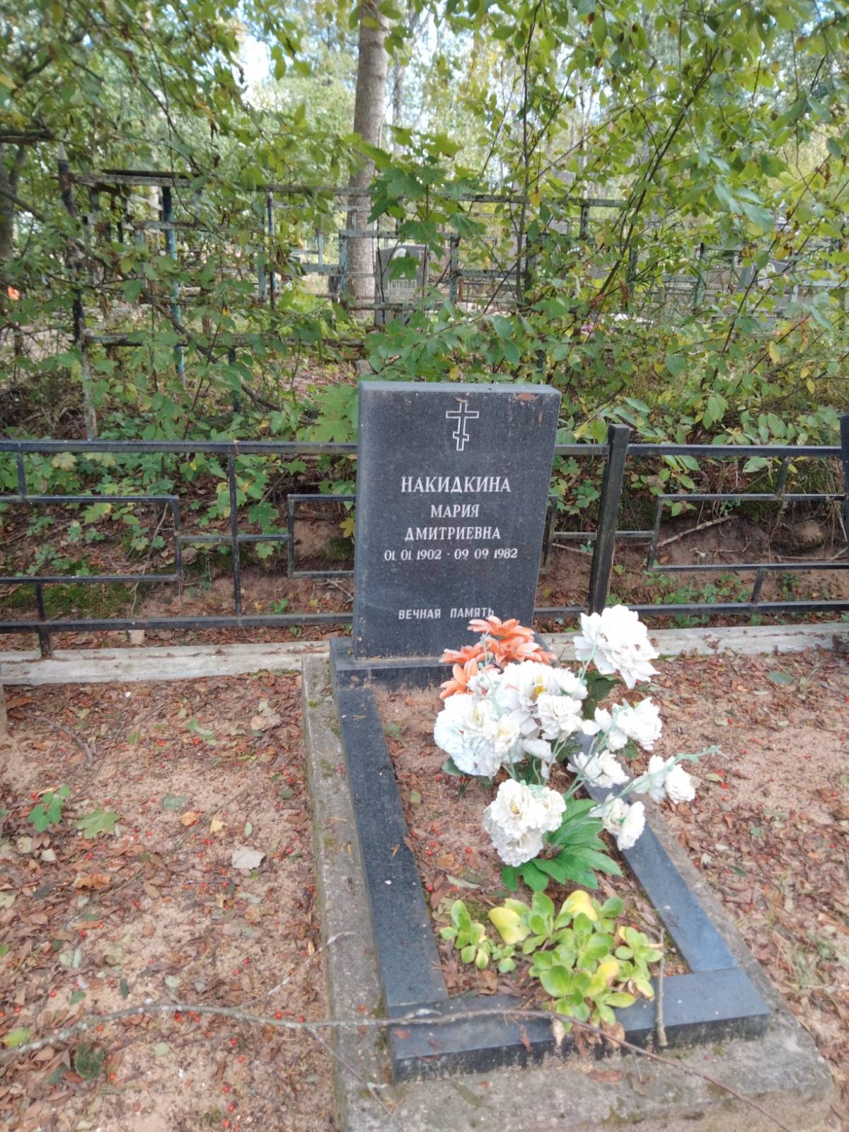Накидкина Мария Дмитриевна