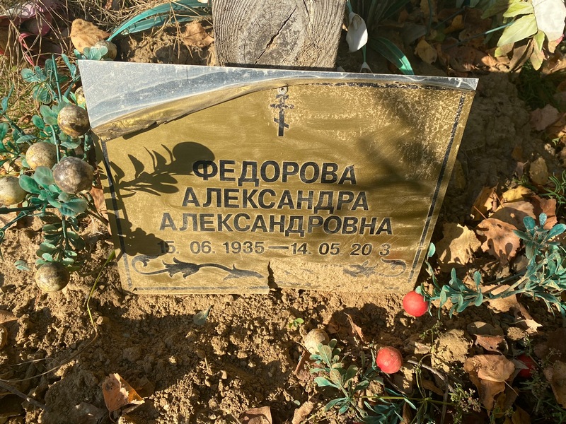 Федорова Александра Александровна