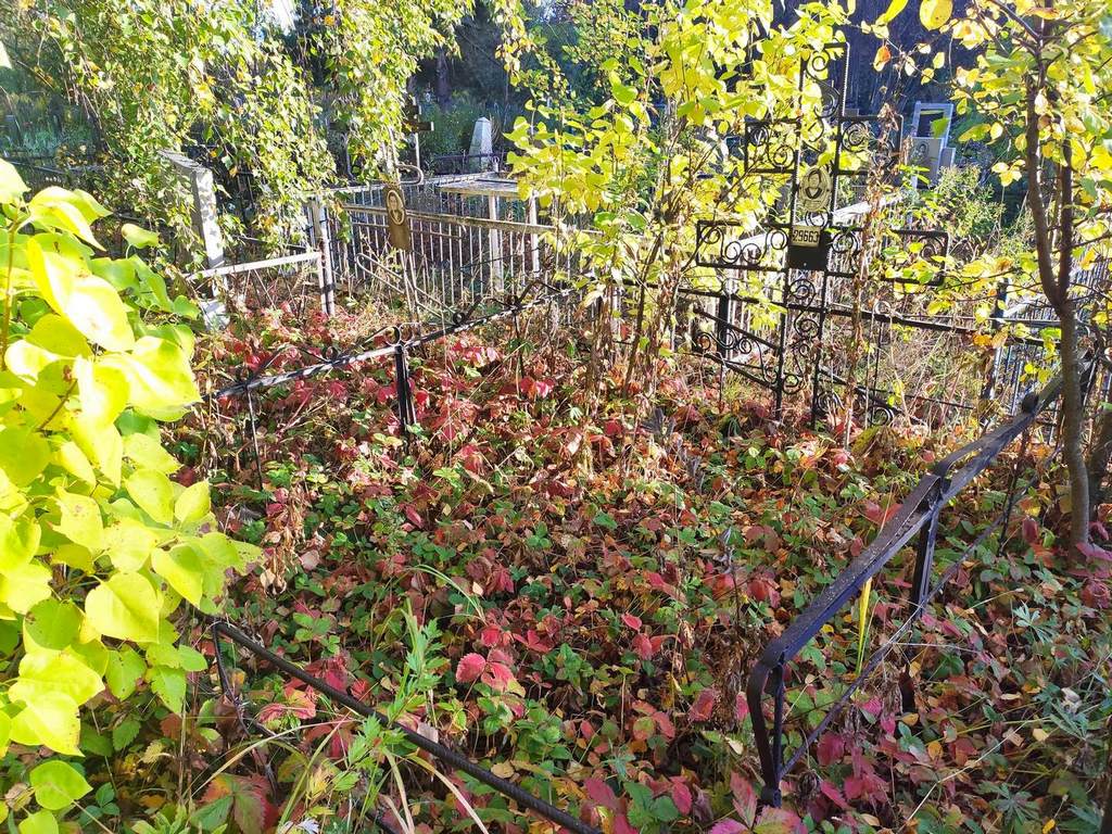Морозова Анна Дмитриевна