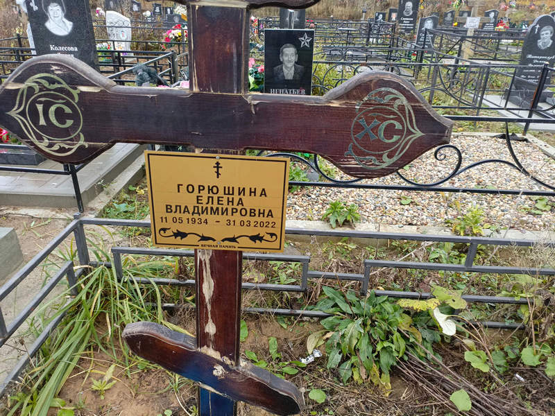 Горюшина