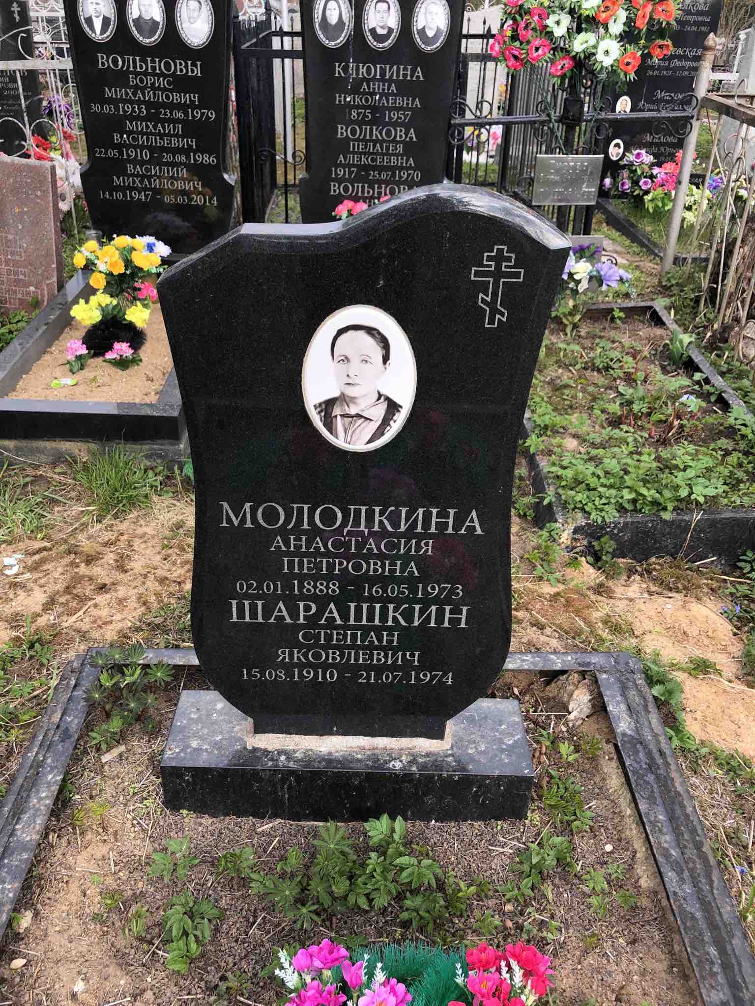 Молодкина Анастасия Петровна