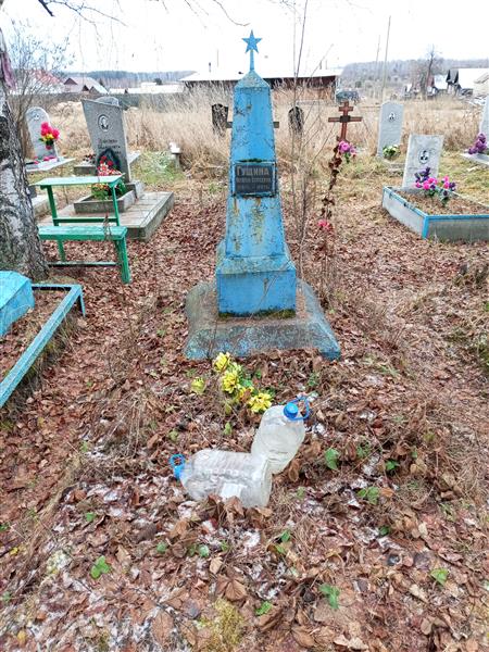 Гущина Наталья Сергеевна