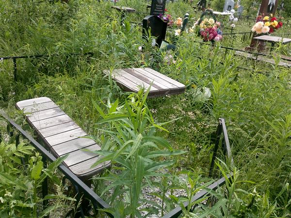Микуров Андрей Аркадьевич