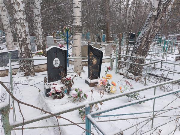 Раин Андрей Андреевич