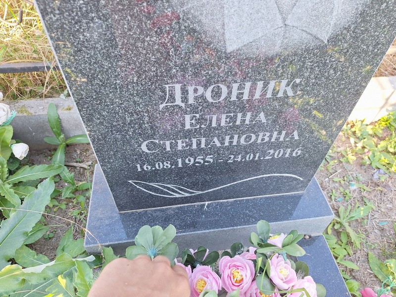 Дроник