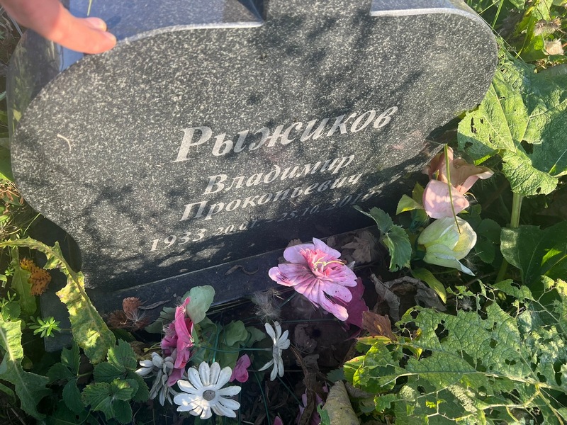 Рыжиков