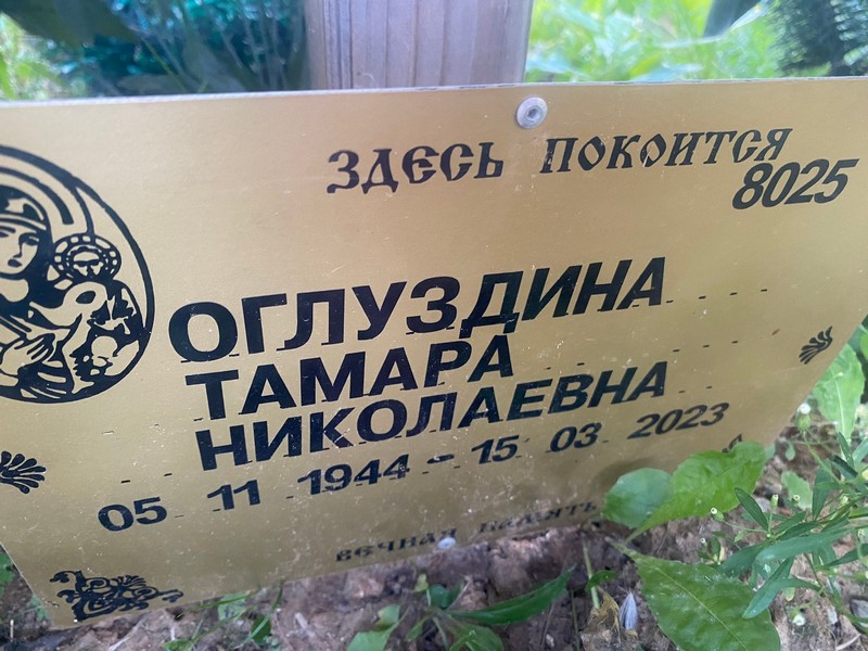 Оглуздина