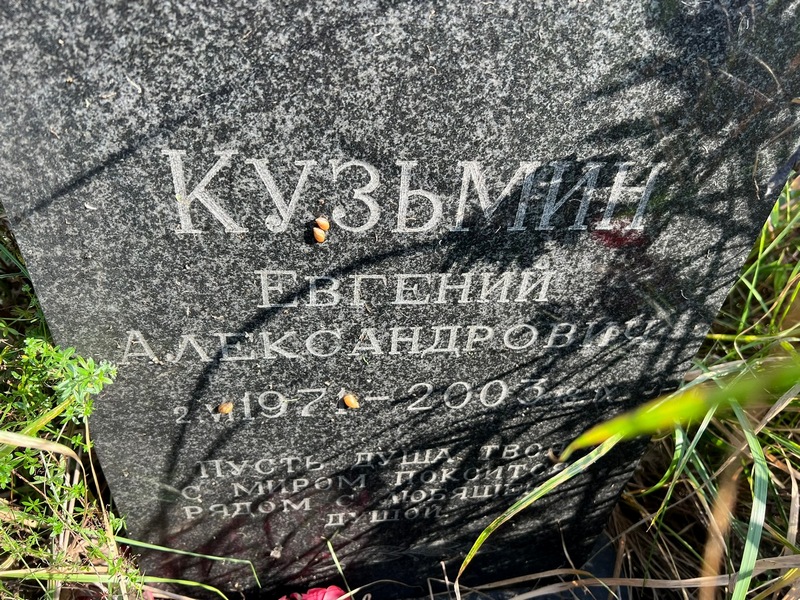Кузьмин
