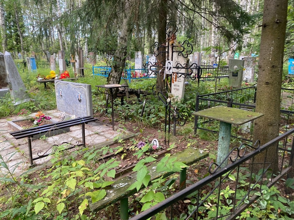 Каргин Николай Васильевич