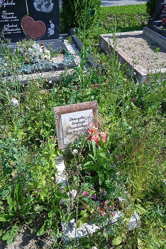 Демидова Людмила Николаевна