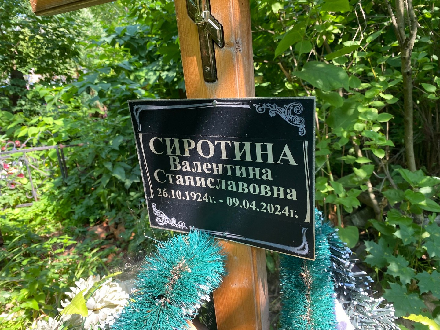 Сиротина