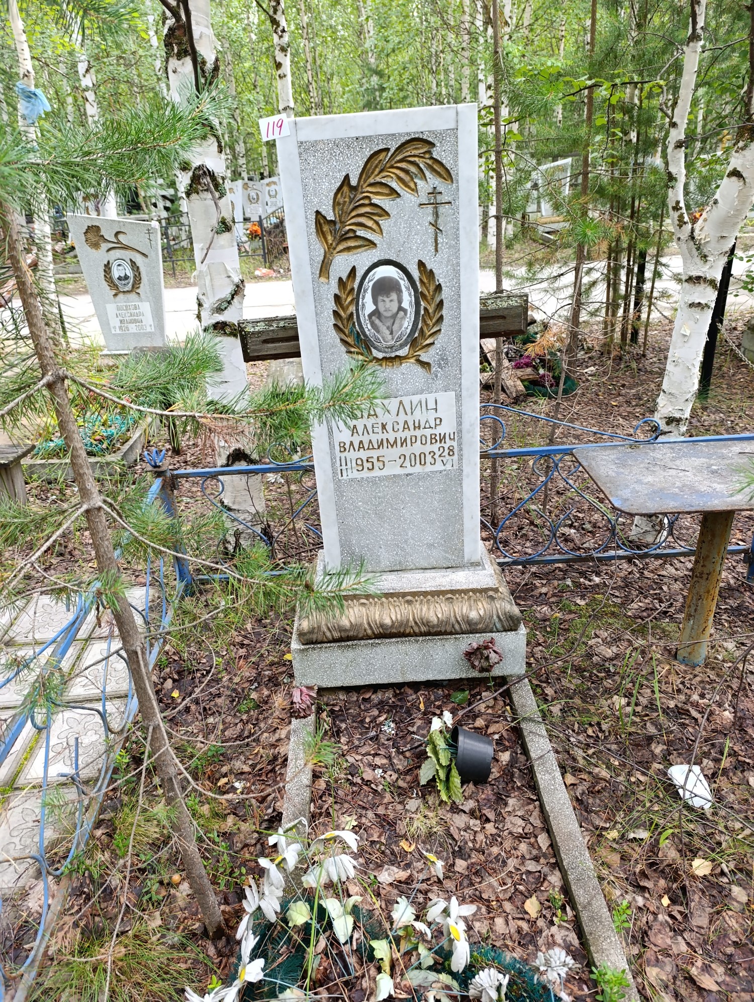 Бахлин Александр Владимирович