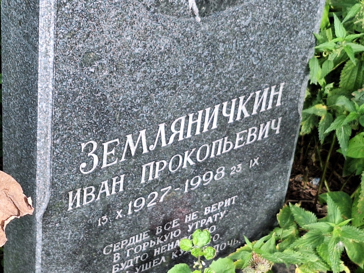 Земляничкин