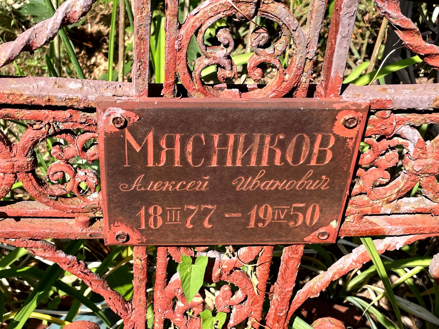 Мясников