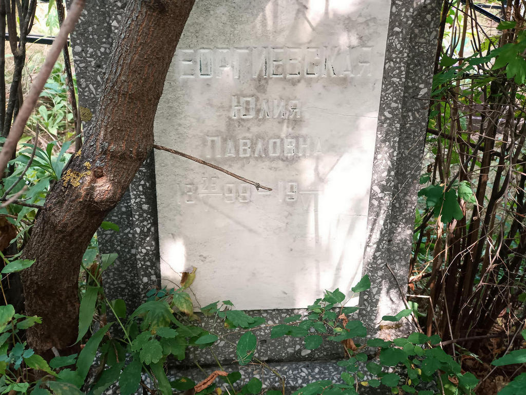 Георгиевская Юлия Павловна