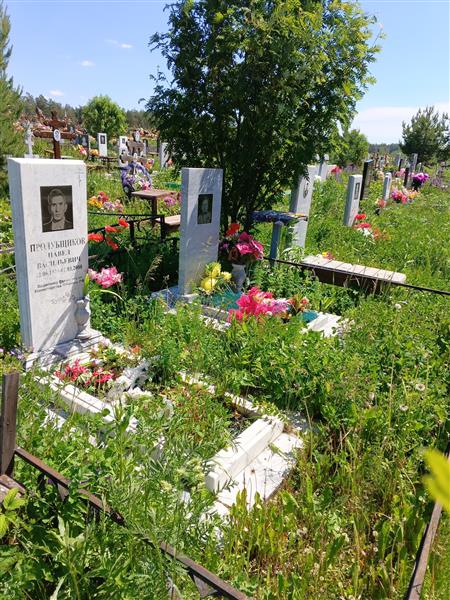 Пролубщикова Зинаида Дмитриевна