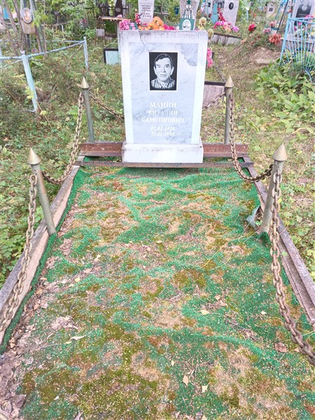 Манин Виталий Самсонович