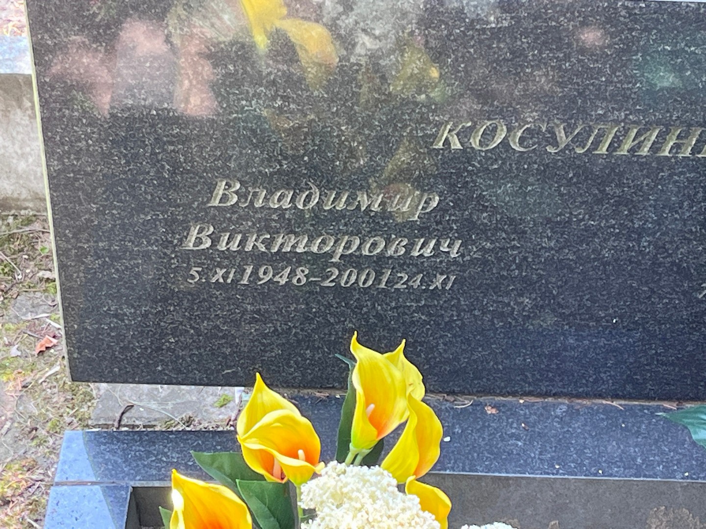 Косулин
