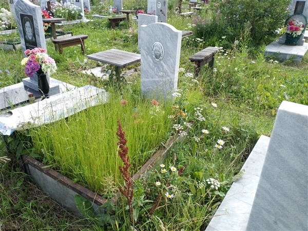 Жирнова Анастасия