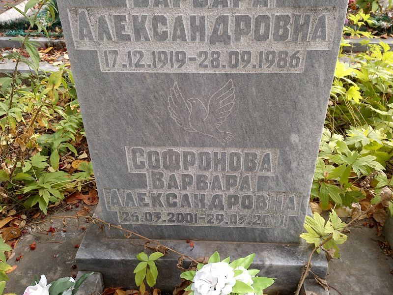 Софронова Варвара Александровна