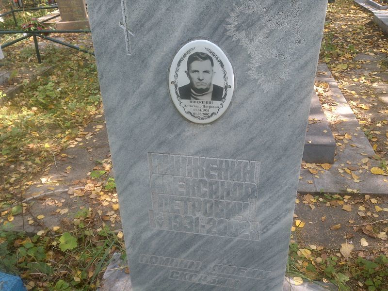 Пинженин