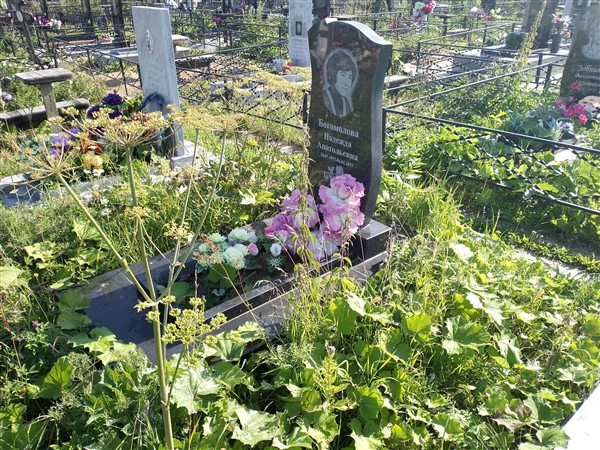 Богомолова Надежда Анатольевна