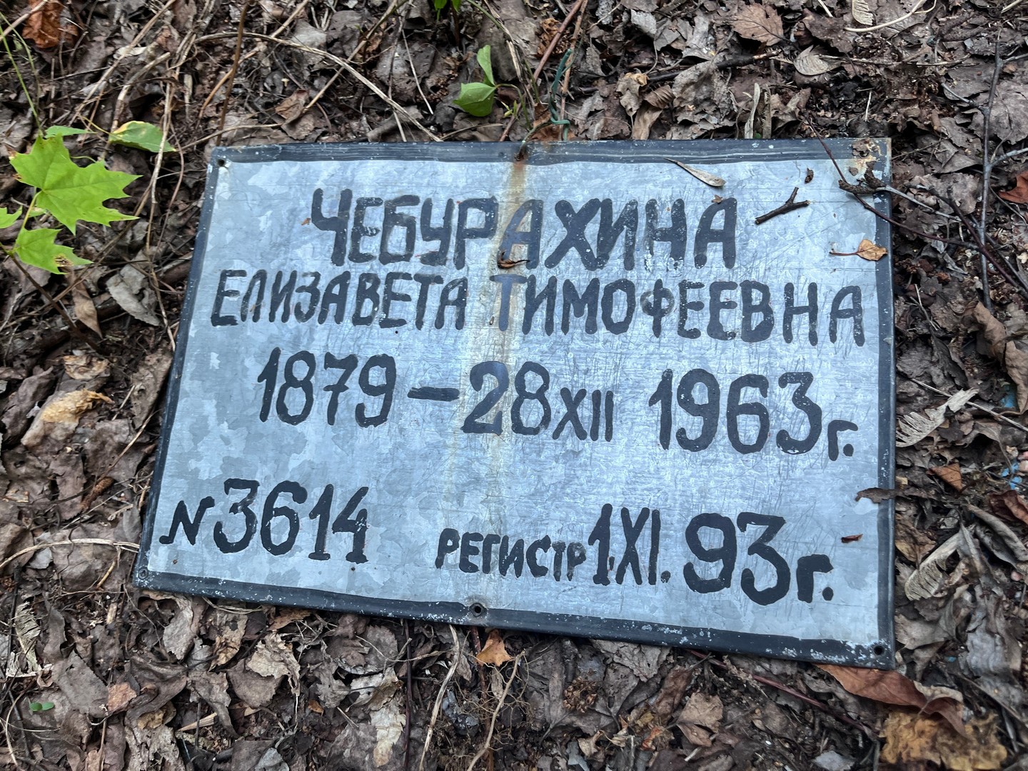 Чебурахина