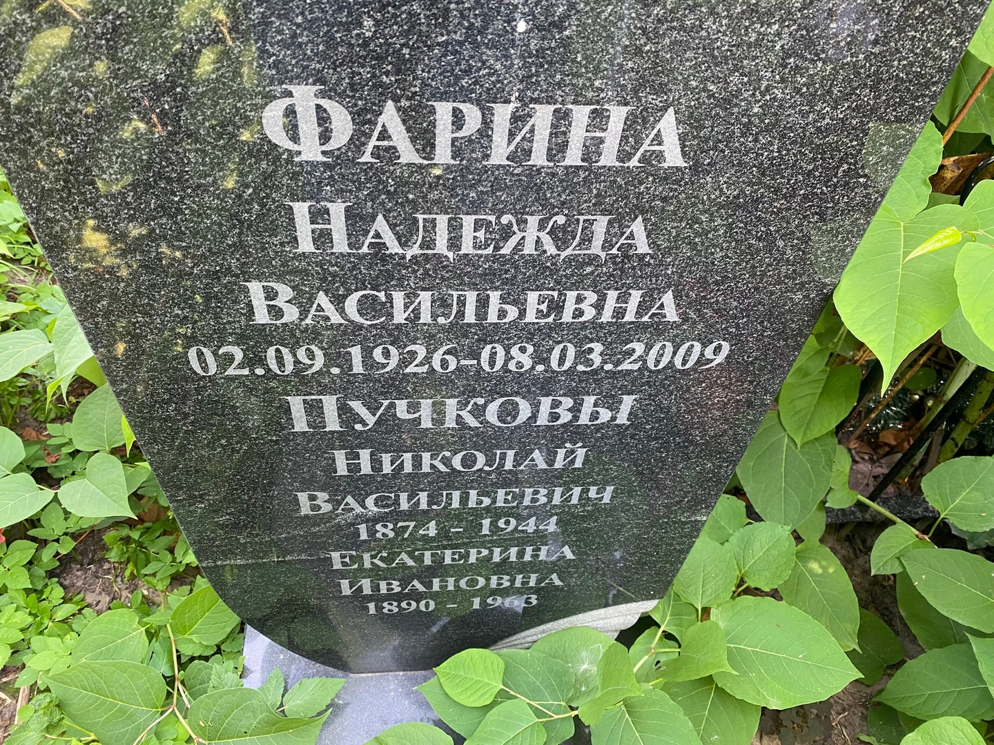 Фарина