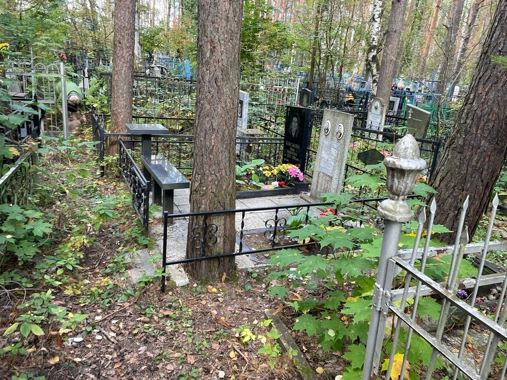Елагина Анастасия Денисовна